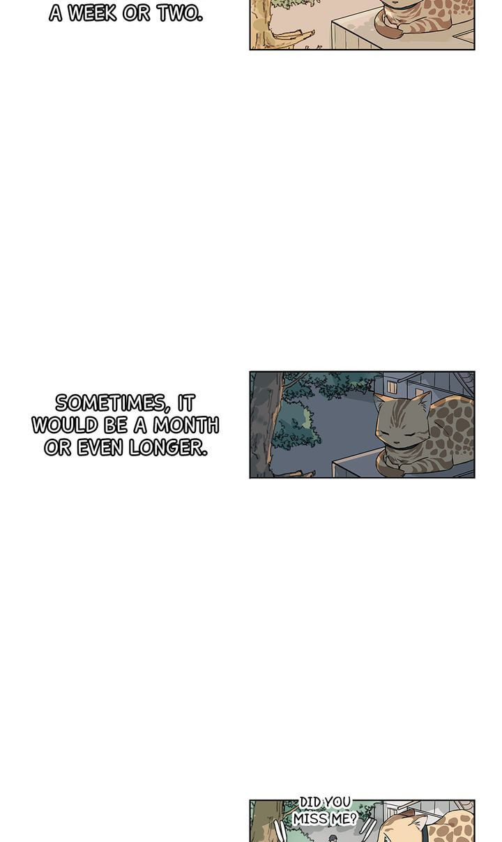 Meow! Please Help, Manager! Chapter 17 page 18 - 