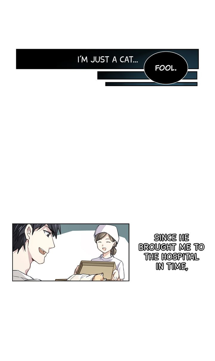 Meow! Please Help, Manager! Chapter 17 page 7 - 
