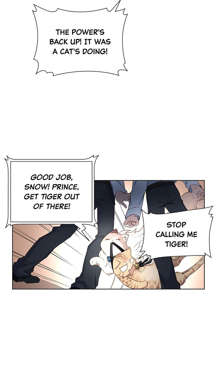 Meow! Please Help, Manager! Chapter 24 page 25 - 