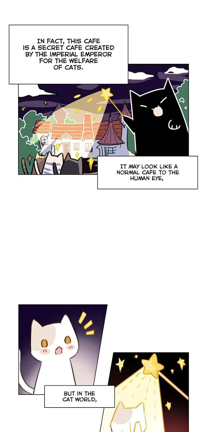 Meow! Please Help, Manager! Chapter 4 page 25 - 
