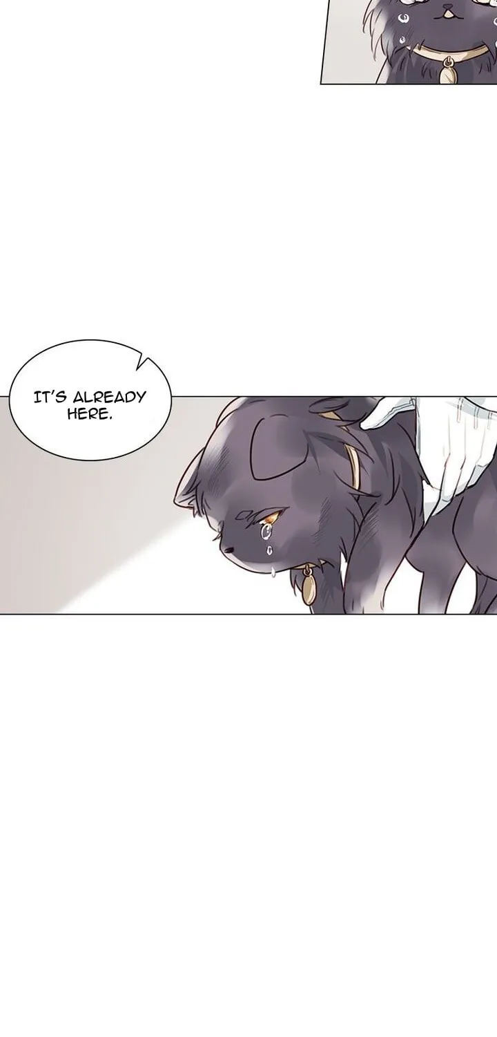 Meow! Please Help, Manager! Chapter 4 page 35 - 