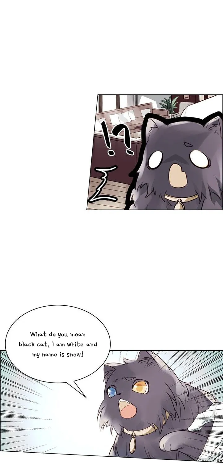 Meow! Please Help, Manager! Chapter 5 page 11 - 