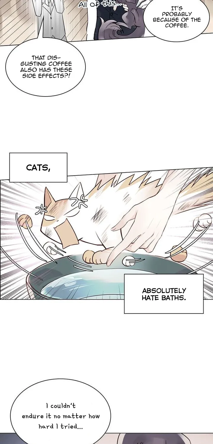 Meow! Please Help, Manager! Chapter 5 page 13 - 