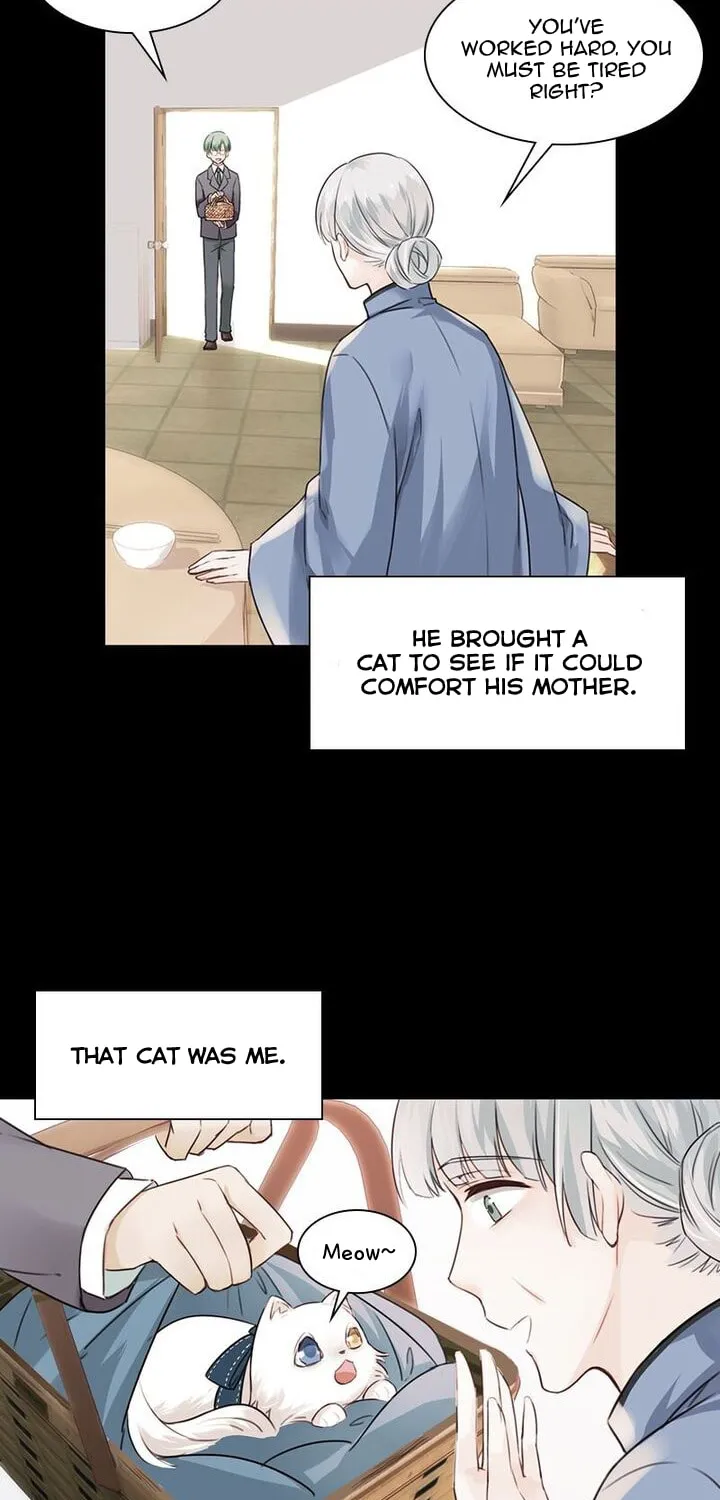 Meow! Please Help, Manager! Chapter 5 page 18 - 
