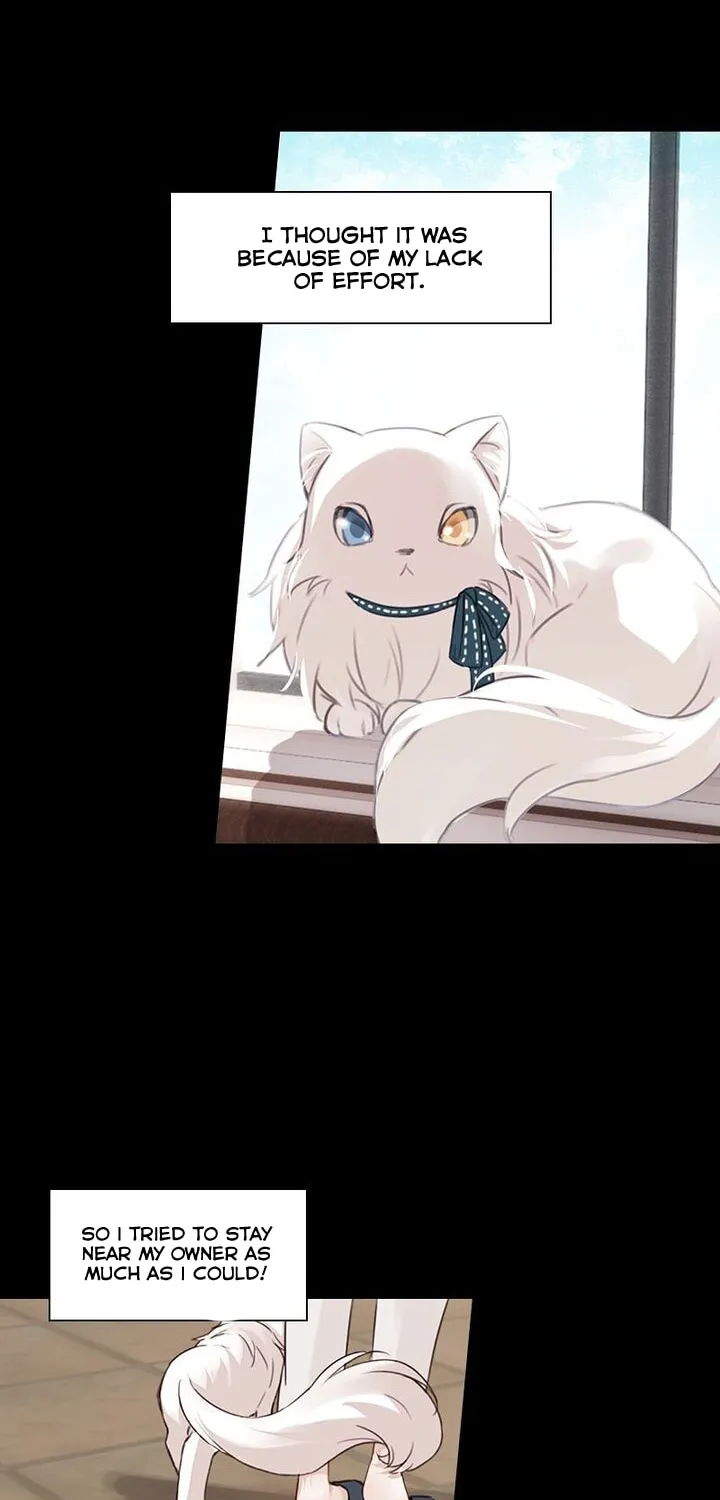 Meow! Please Help, Manager! Chapter 5 page 25 - 