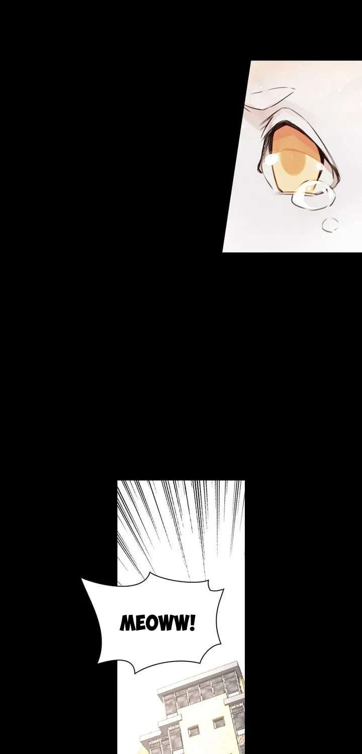 Meow! Please Help, Manager! Chapter 5 page 29 - 