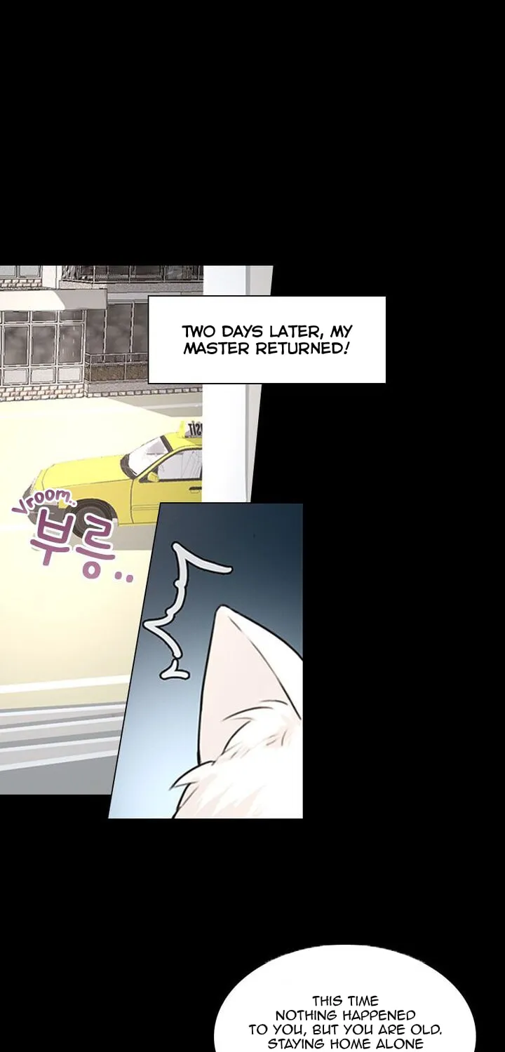 Meow! Please Help, Manager! Chapter 5 page 34 - 