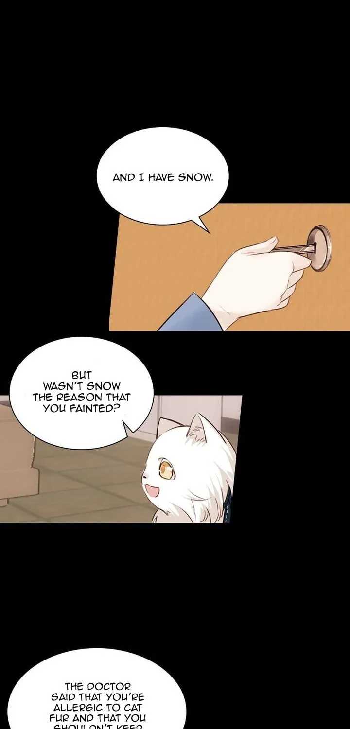 Meow! Please Help, Manager! Chapter 5 page 37 - 