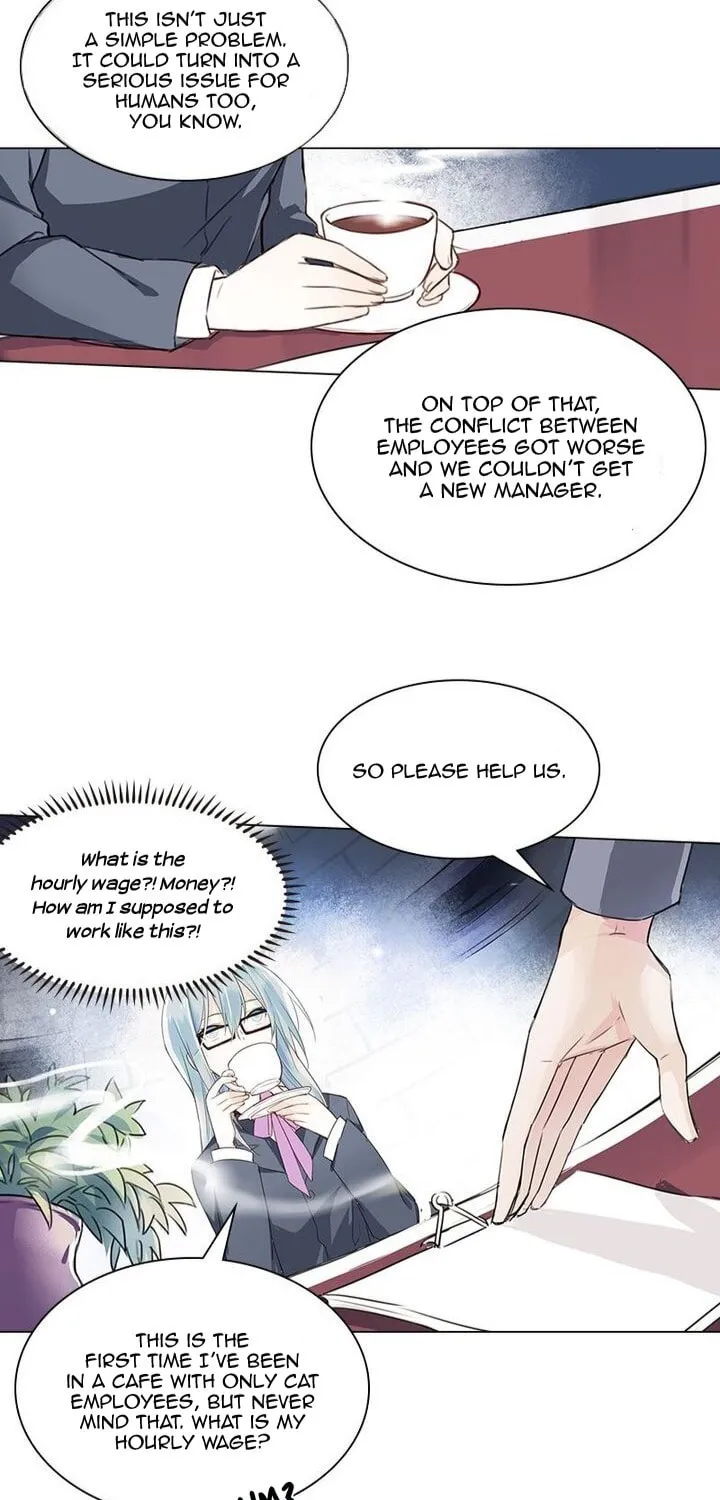 Meow! Please Help, Manager! Chapter 5 page 5 - 