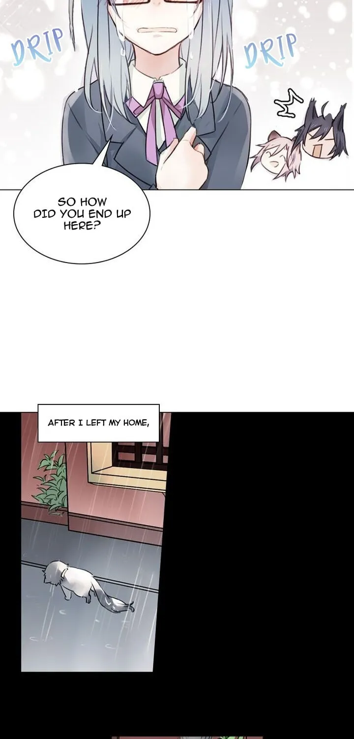 Meow! Please Help, Manager! Chapter 6 page 4 - 