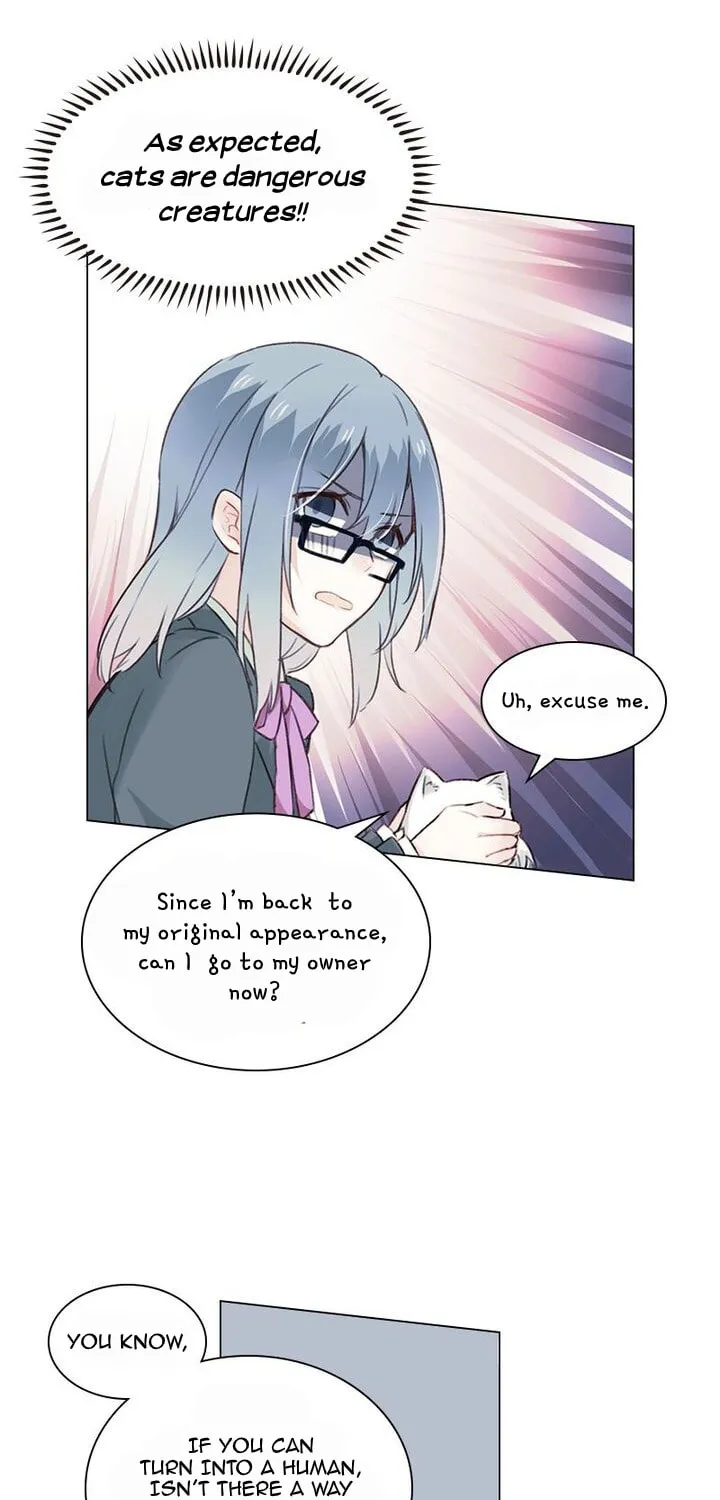 Meow! Please Help, Manager! Chapter 6 page 32 - 