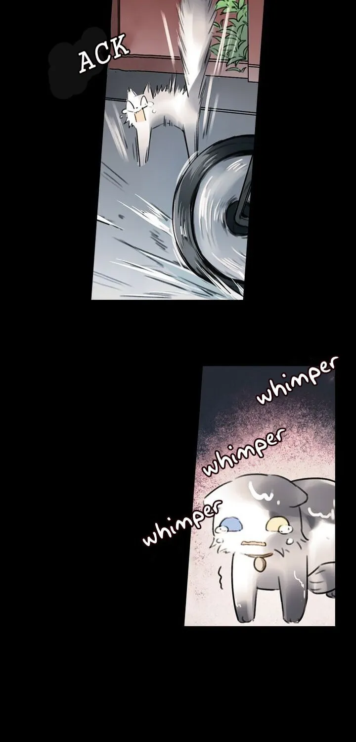 Meow! Please Help, Manager! Chapter 6 page 5 - 