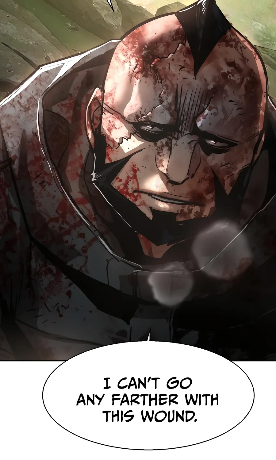 Mercenary enrollement Chapter 249 page 5 - 