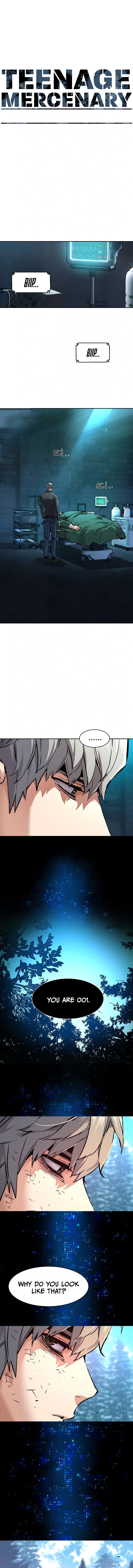 Mercenary enrollement Chapter 255 page 2 - 