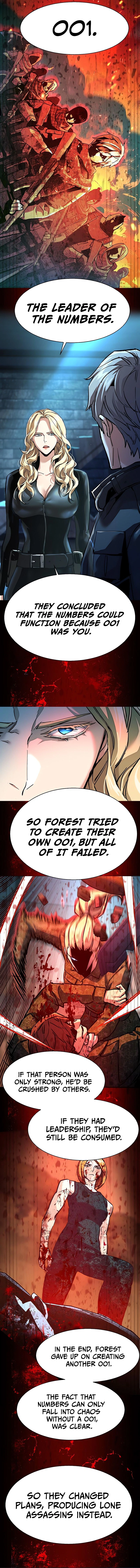 Mercenary enrollement Chapter 255 page 9 - 