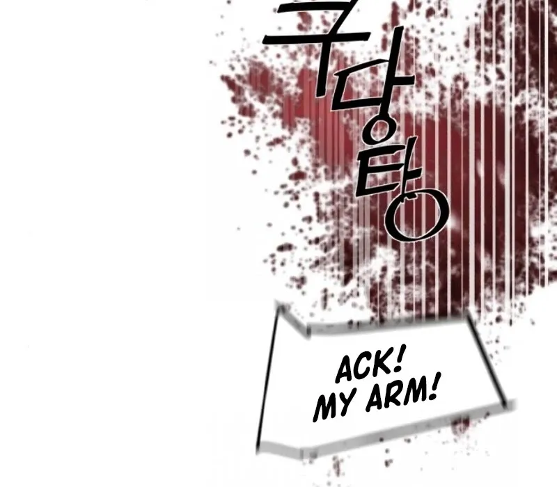 Mercenary Enrollment Chapter 37 page 73 - 