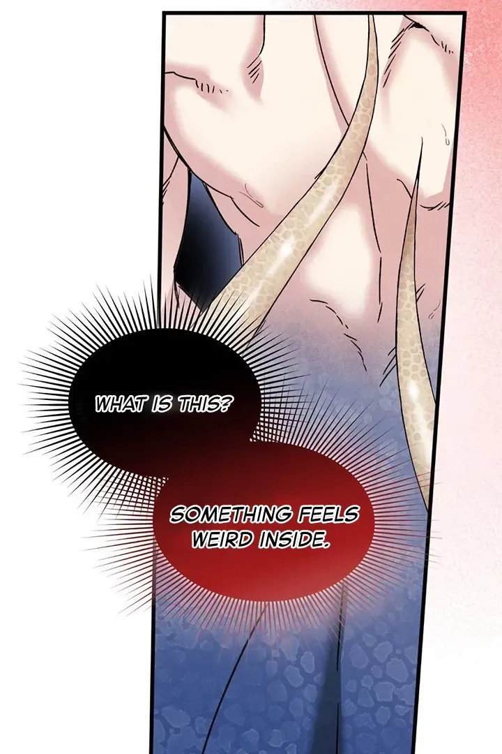 Read Mermaid