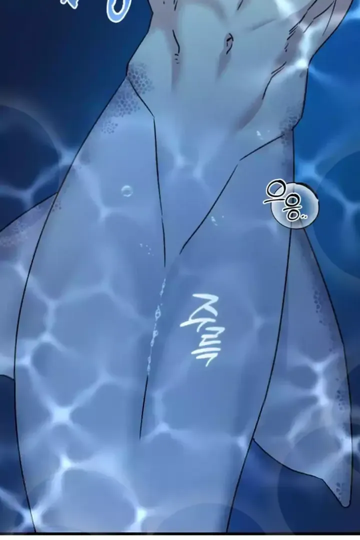 Read Mermaid