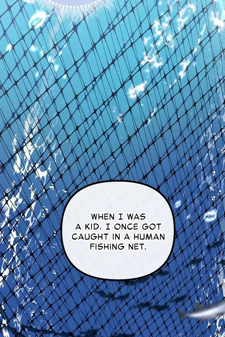 Read Mermaid