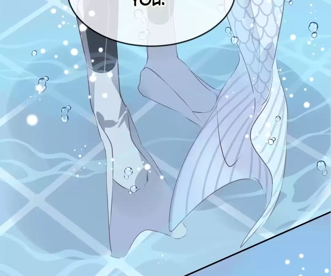 Read Mermaid
