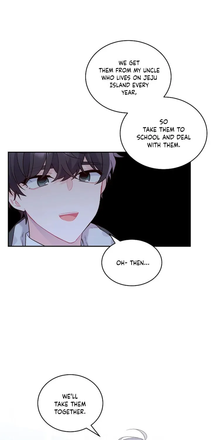 Read Merry Marbling chapter 4 image 13 on Lezhin