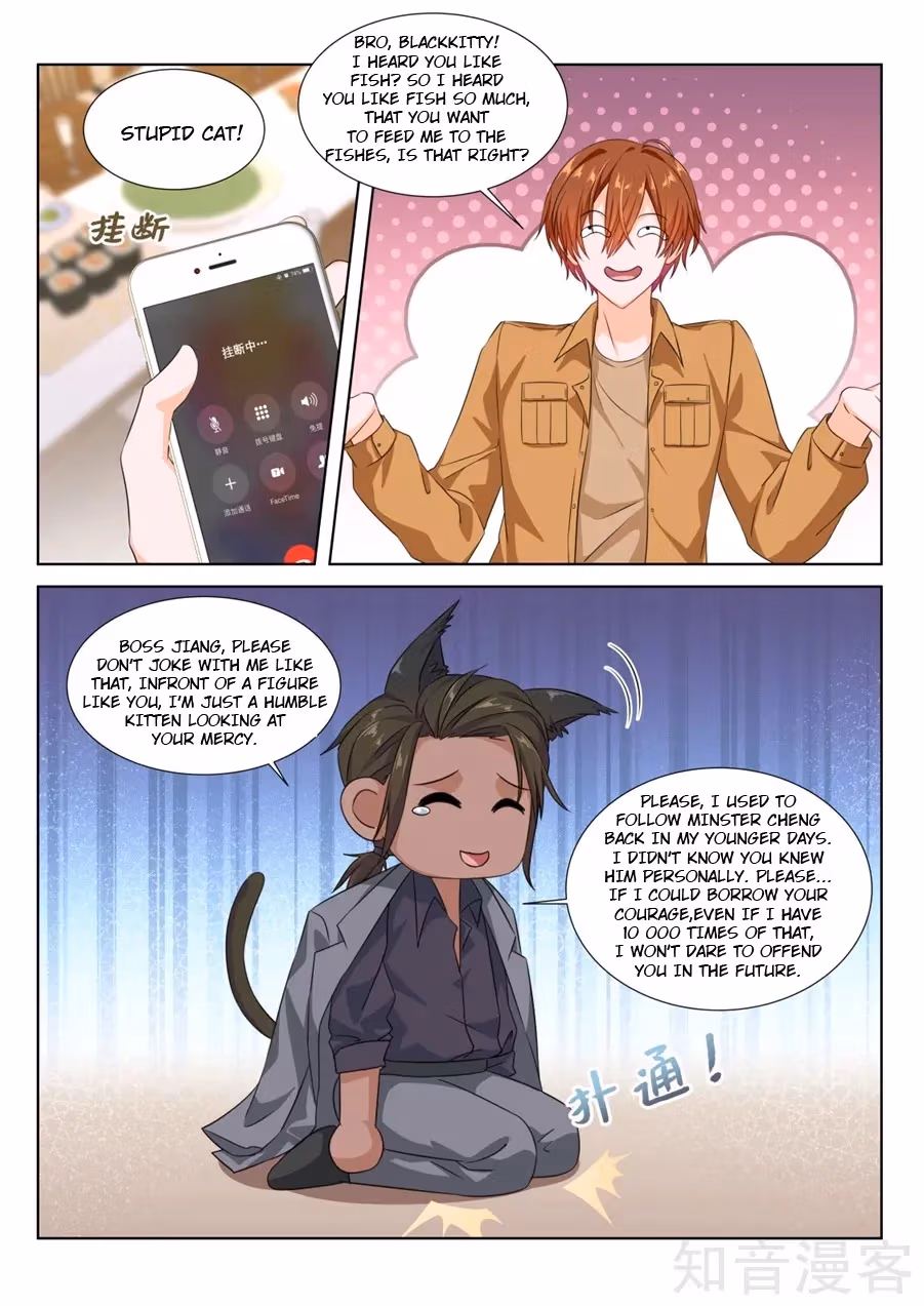 Metropolitan System Chapter 213 page 11 - 