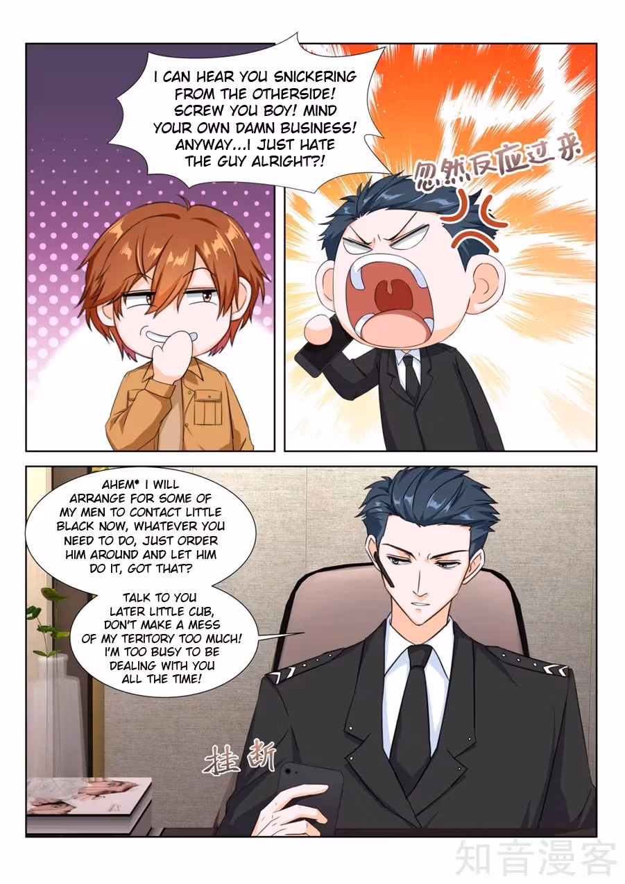 Metropolitan System Chapter 217 page 3 - 