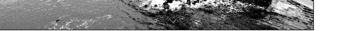 Read MF Ghost chapter 142 image 25 on Lezhin