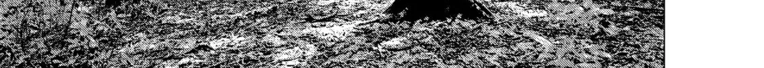 Read MF Ghost chapter 144 image 21 on Lezhin