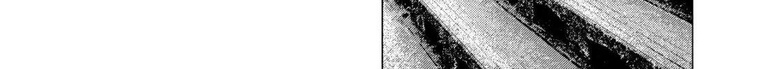 Read MF Ghost chapter 150 image 15 on Lezhin