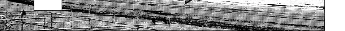Read MF Ghost chapter 157 image 13 on Lezhin