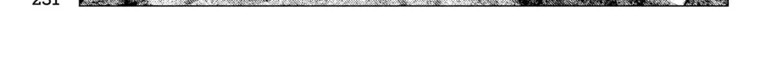 Read MF Ghost chapter 249 image 25 on Lezhin