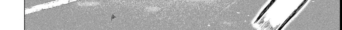 Read MF Ghost chapter 261 image 15 on Lezhin