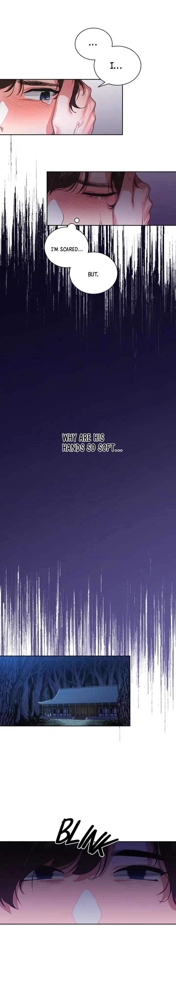 Read Midnight Beauty chapter 1 image 12 on Lezhin