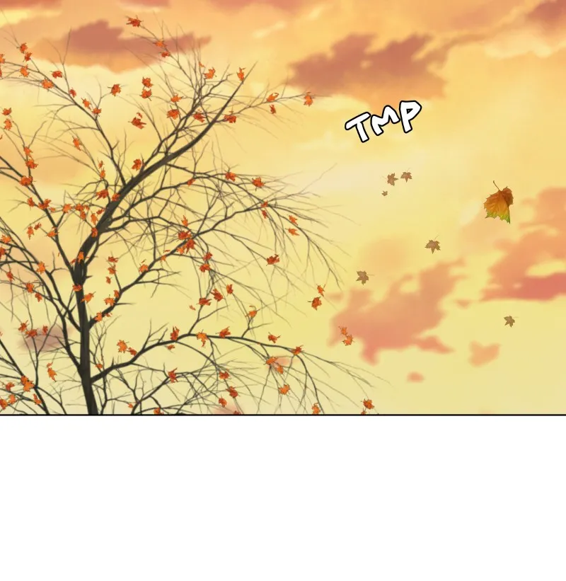 Midnight Rain Chapter 100 page 14 - 