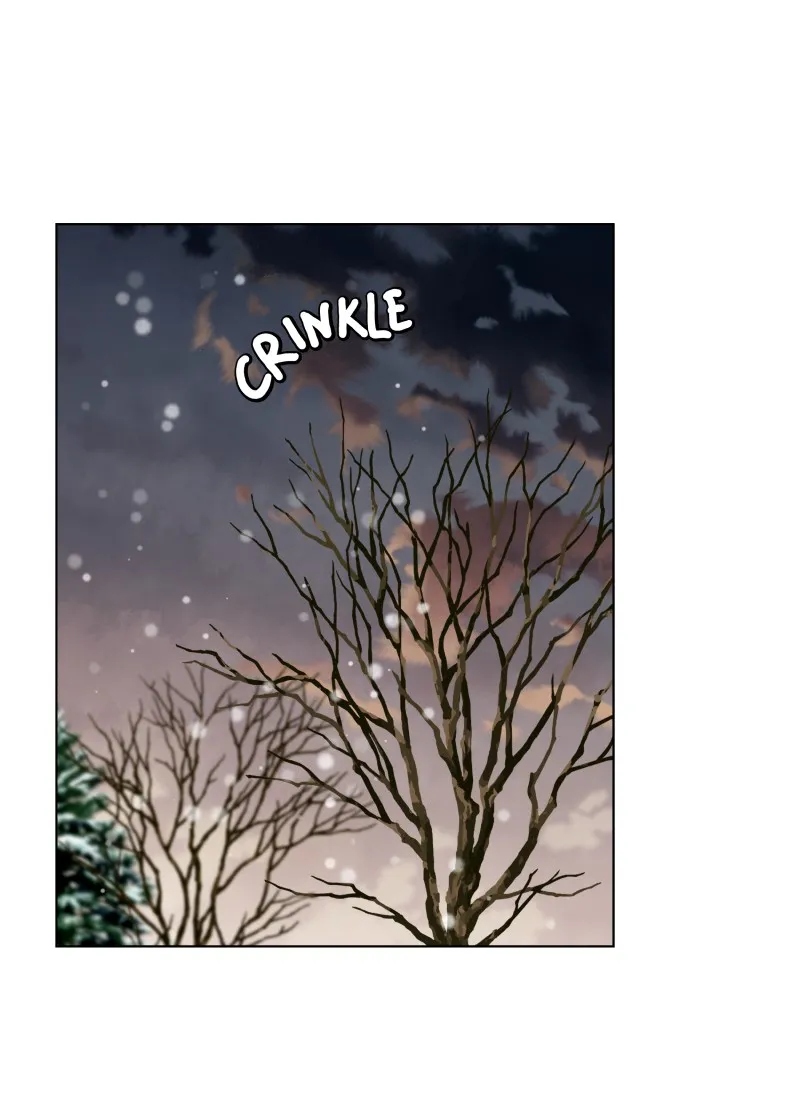 Midnight Rain Chapter 146 page 36 - 