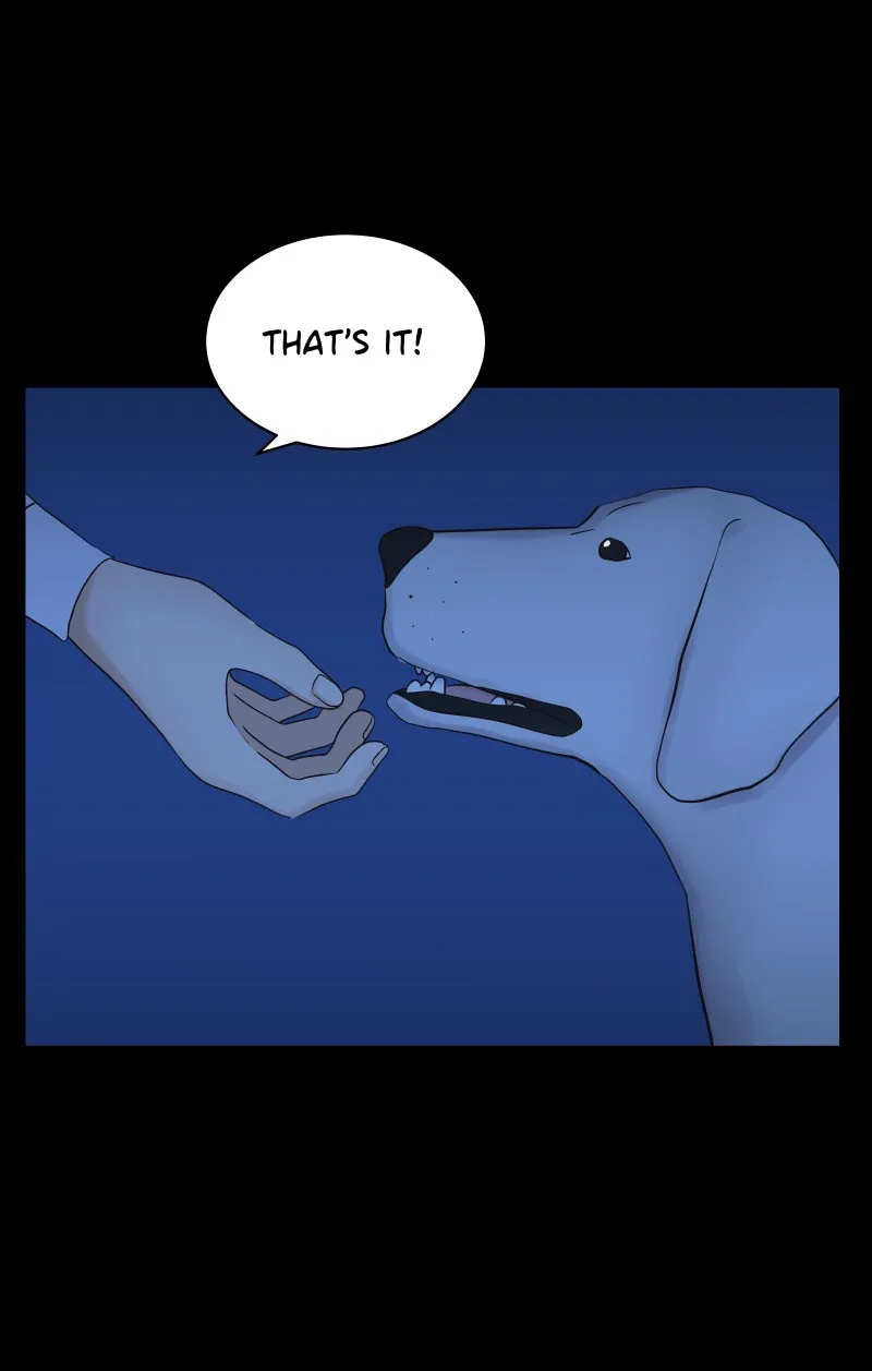 Midnight Rain Chapter 27 page 47 - 