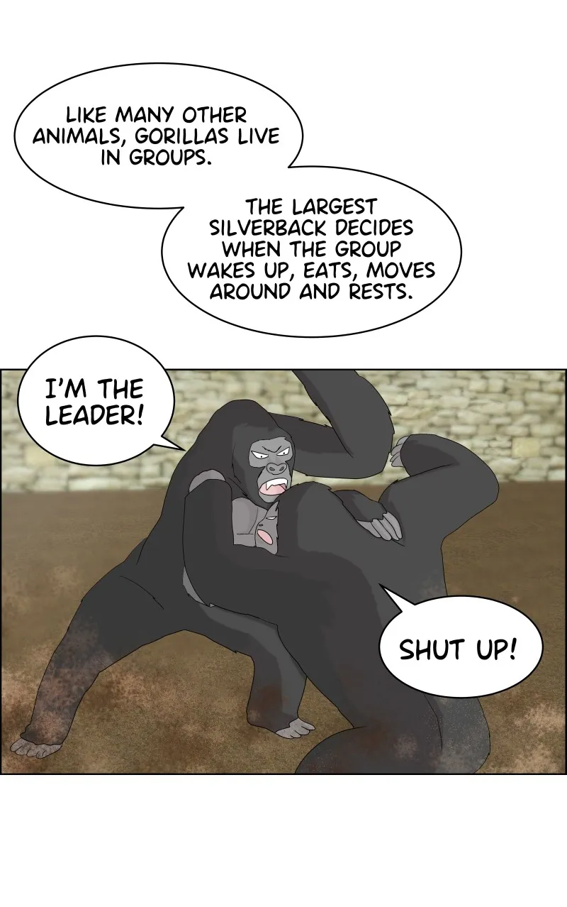 Midnight Rain Chapter 39 page 44 - 
