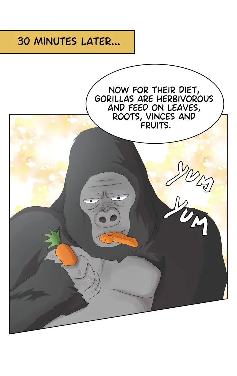 Midnight Rain Chapter 39 page 48 - 