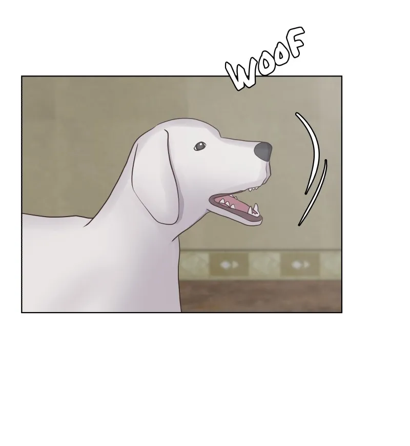 Midnight Rain Chapter 62 page 22 - 