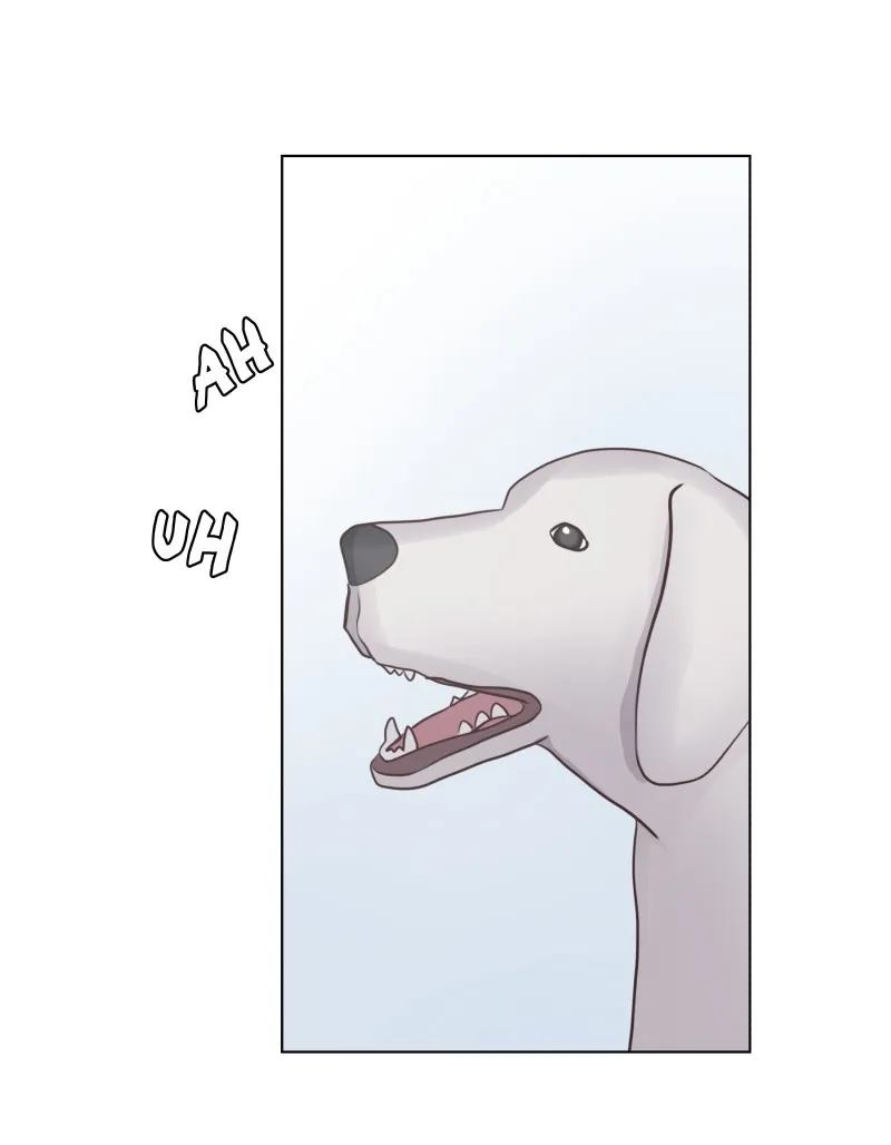 Midnight Rain Chapter 62 page 40 - 
