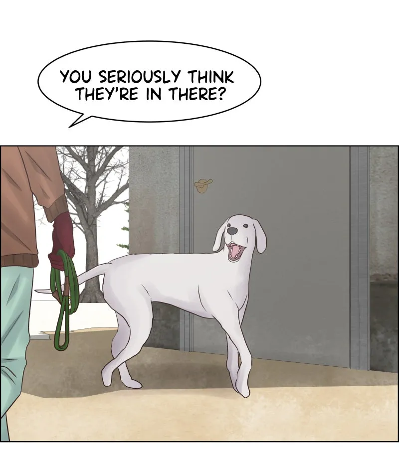 Midnight Rain Chapter 62 page 49 - 