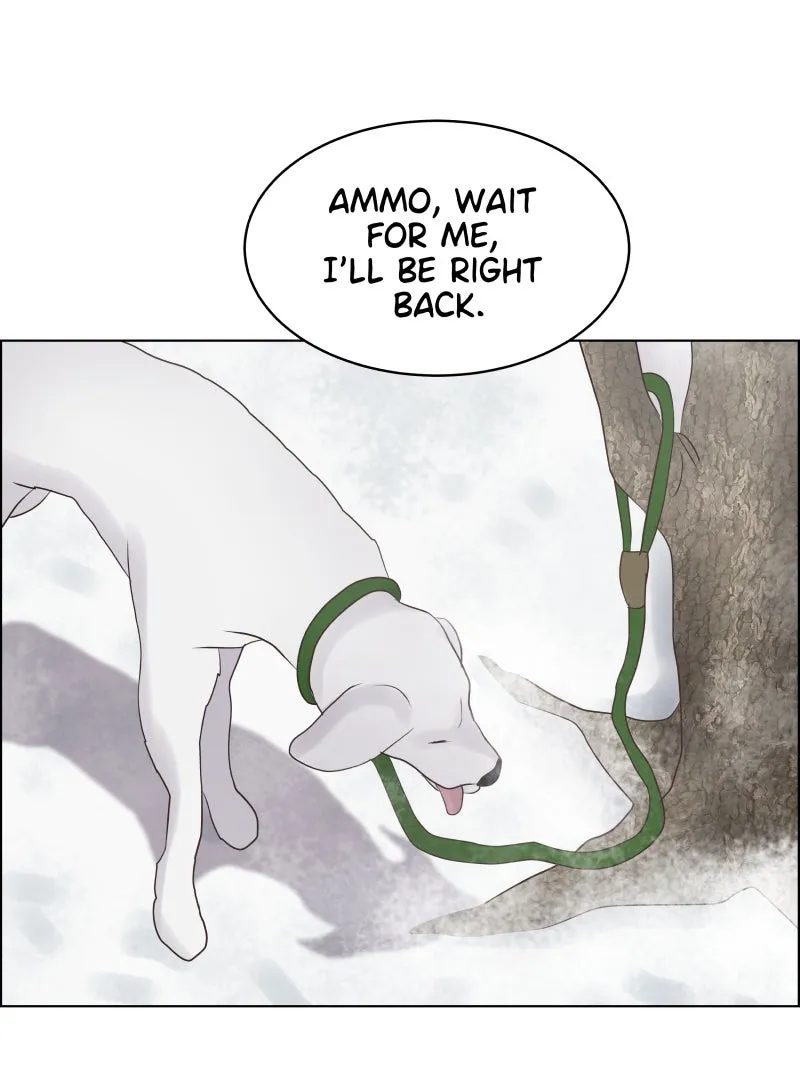 Midnight Rain Chapter 62 page 51 - 