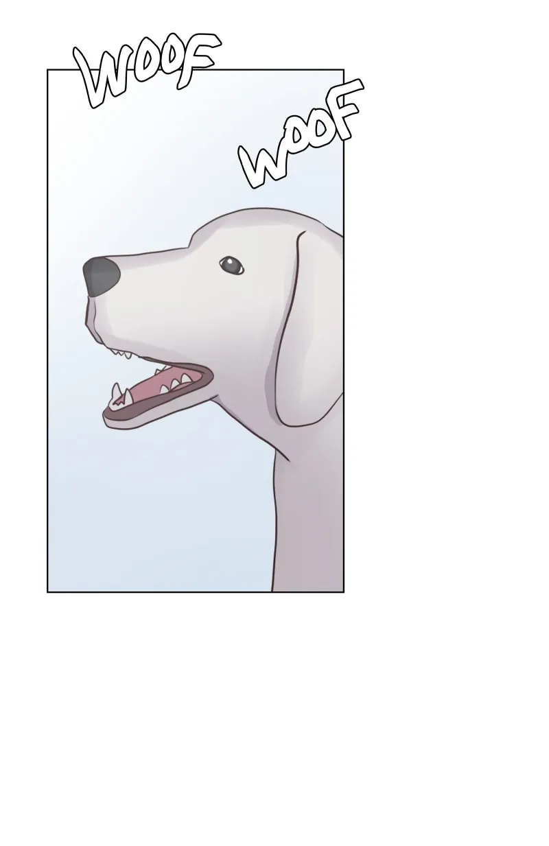 Midnight Rain Chapter 63 page 29 - 