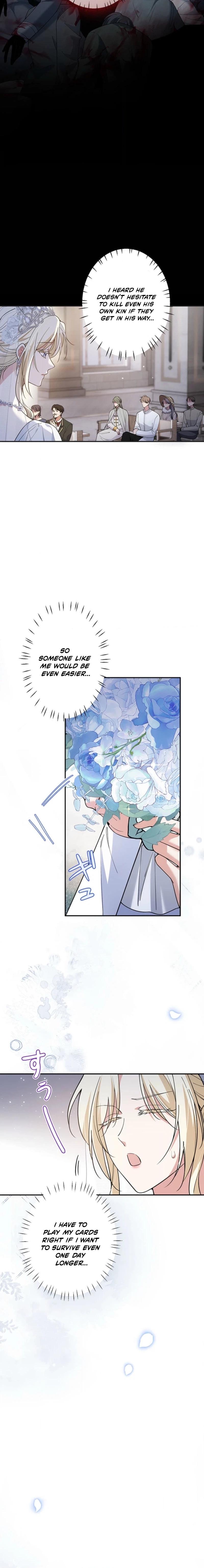 Read Migawari Hanayome chapter 1 image 3 on Lezhin