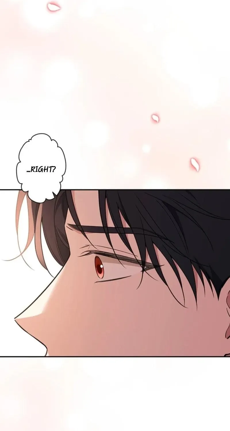 Read Migawari Hanayome chapter 12 image 147 on Lezhin