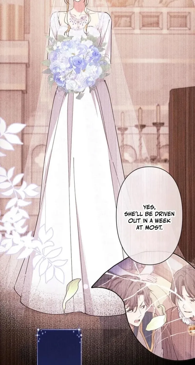 Read Migawari Hanayome chapter 17 image 69 on Lezhin