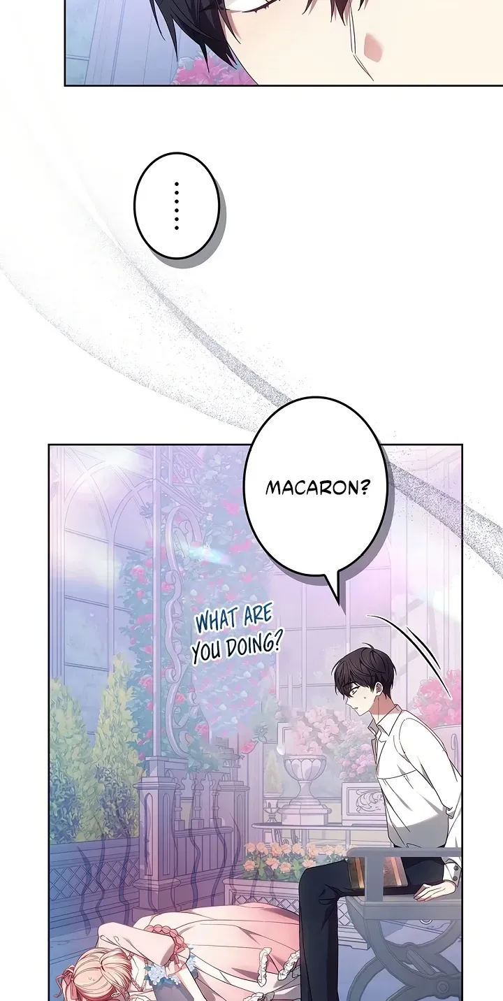 Read Mighty Macaron Wants To Be Meek chapter 13 image 71 on Lezhin