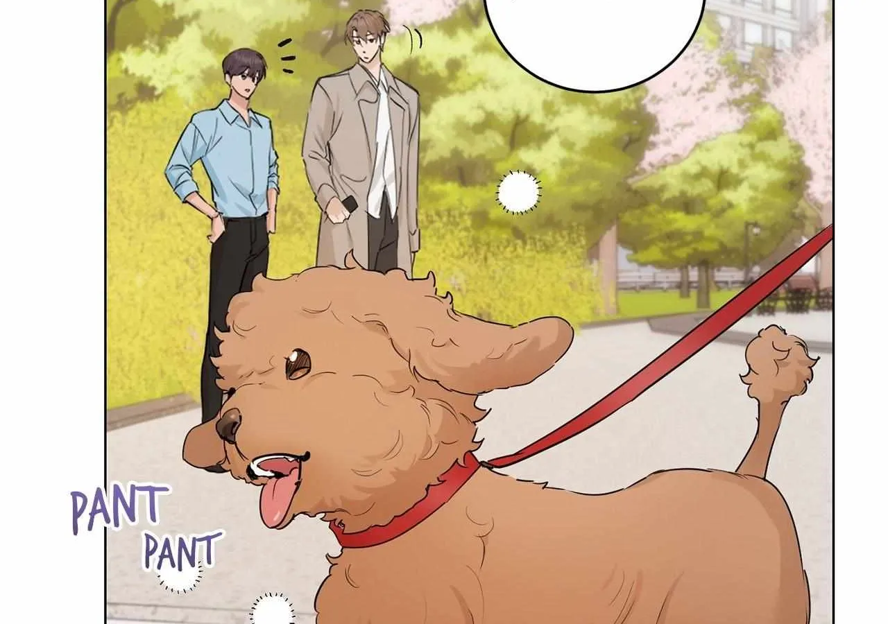 Read Mint Candy Love chapter 13 image 64 on Lezhin