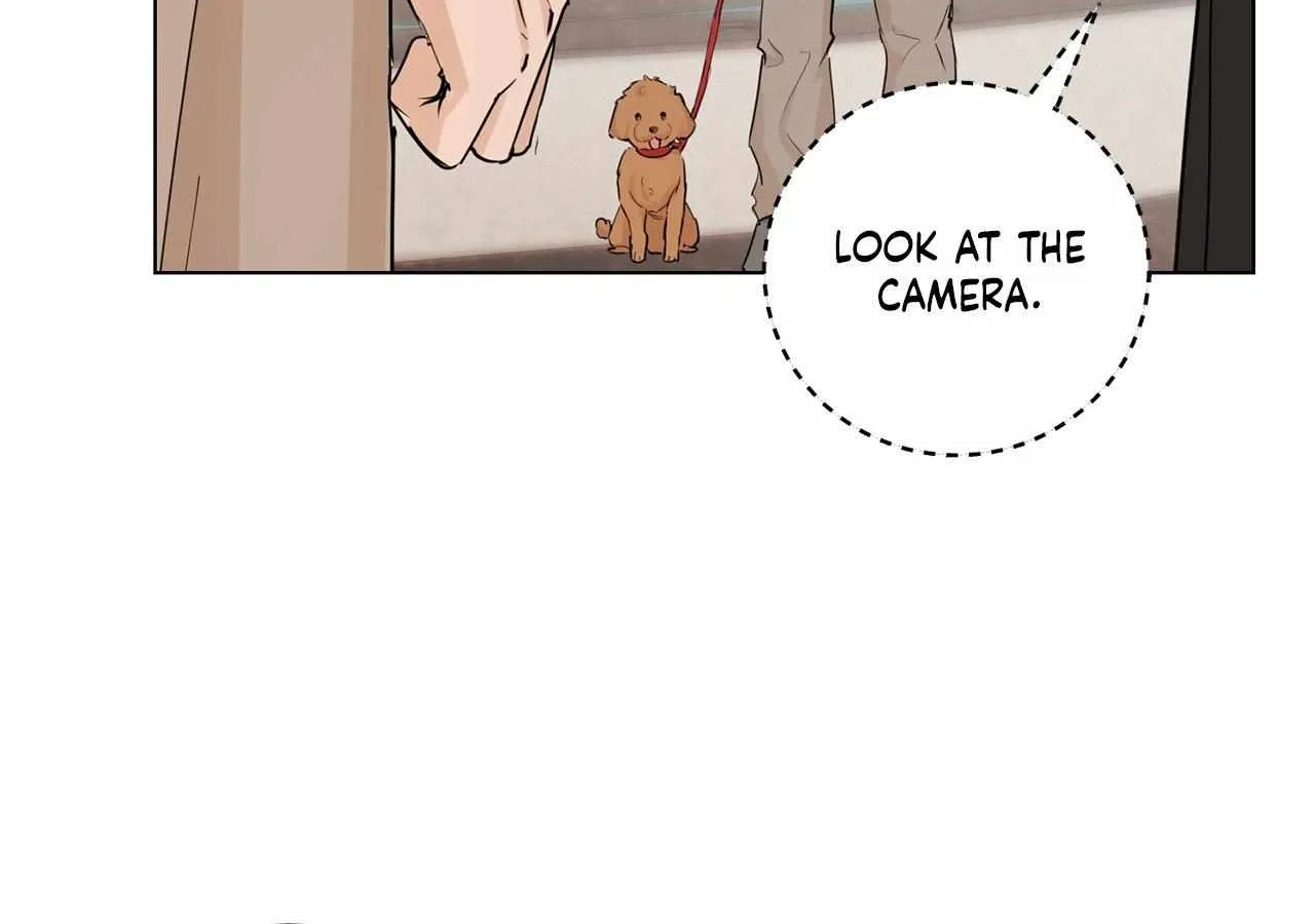 Read Mint Candy Love chapter 13 image 74 on Lezhin